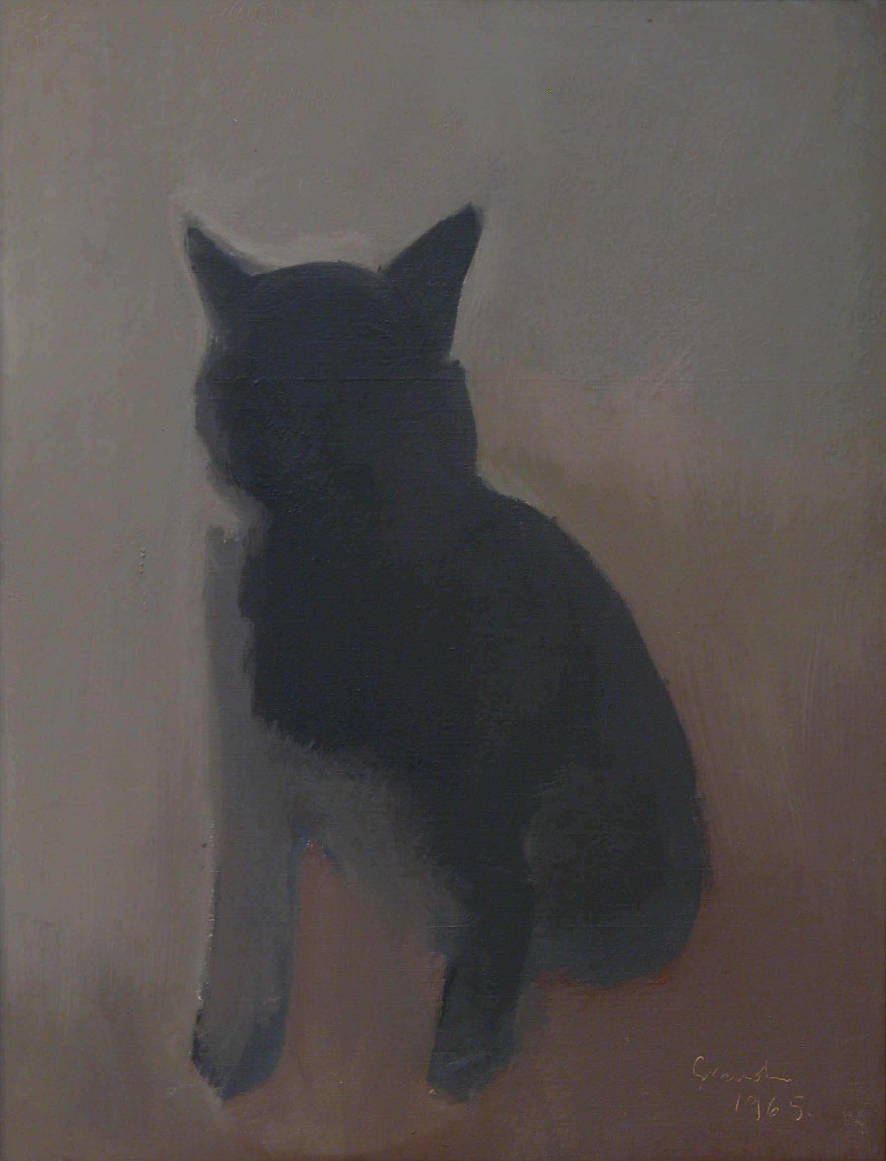 Mi gato