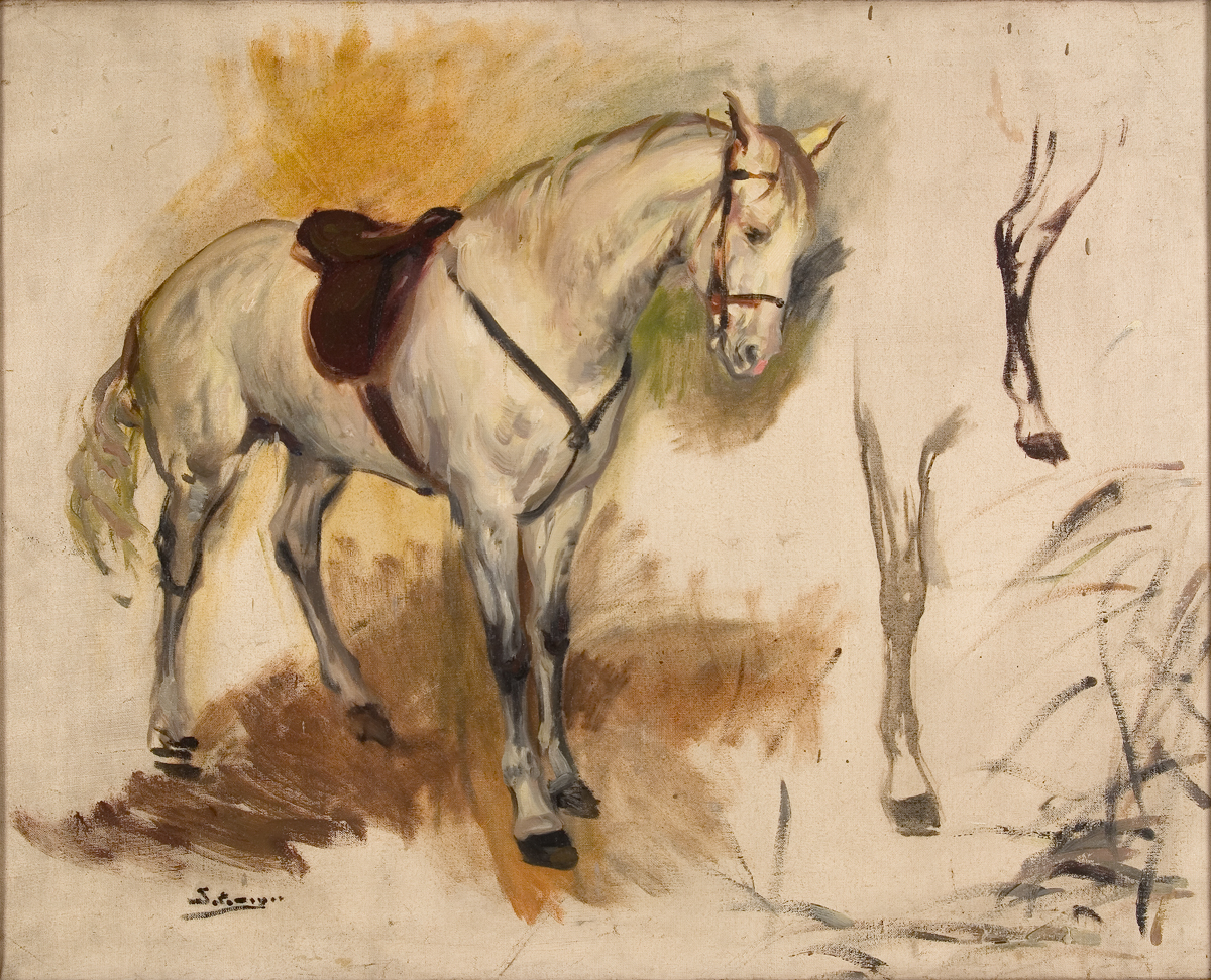 Boceto de Alí, caballo de Franco