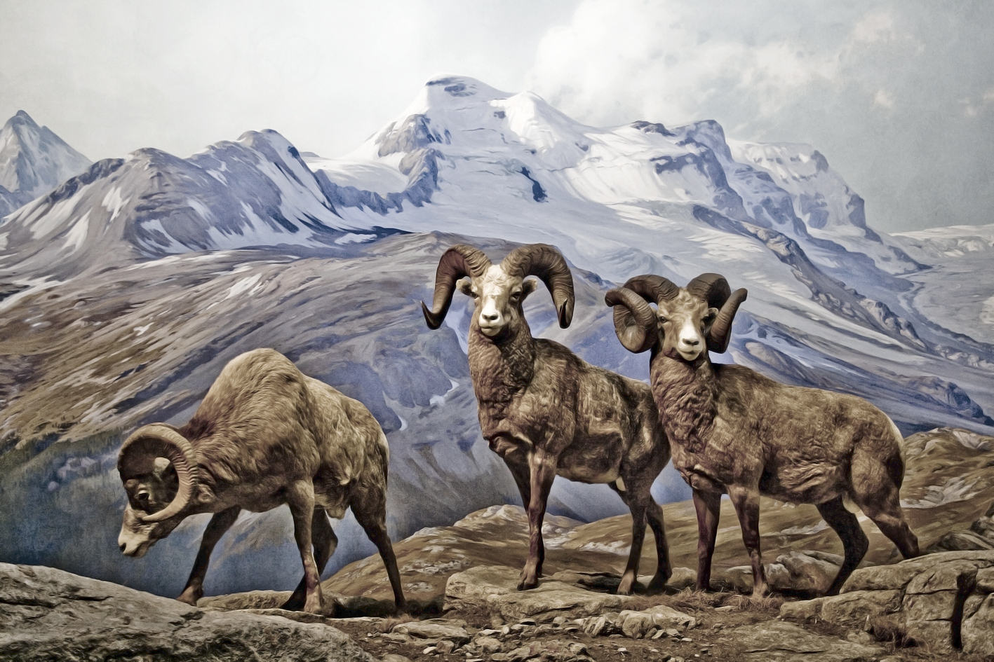Taxidermia 1