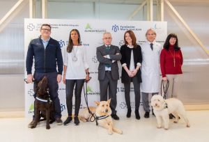 Partes asistentes a la presentación del programa